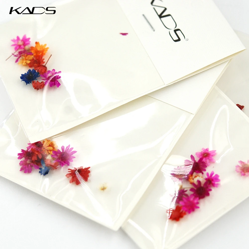 KADS природа красота сушеный цветок лист украшения для ногтей маникюрные