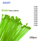 Самоблокирующиеся пластиковые нейлоновые кабельные стяжки 100 шт., зеленые кабельные стяжки, петли для кабеля, различные характеристики