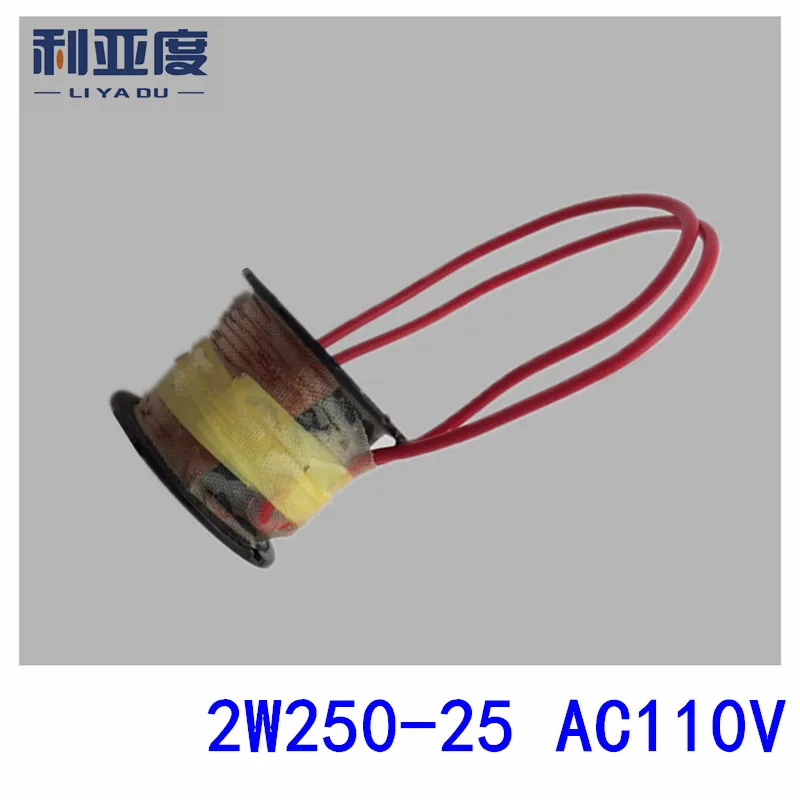 2W250 25 AC110V медный тепловой водяной клапан Соленоидный катушки пневматические