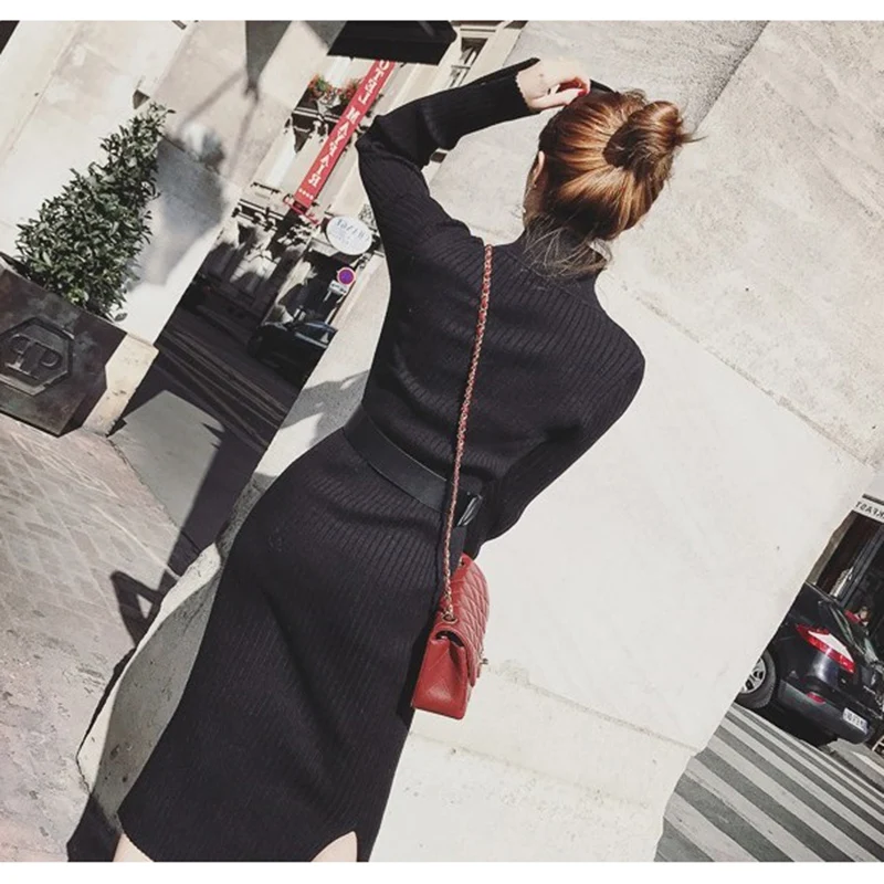 

Women's dress autumn and winter new long section fashion slim sweater sexy high collar cotton trend pullover B48