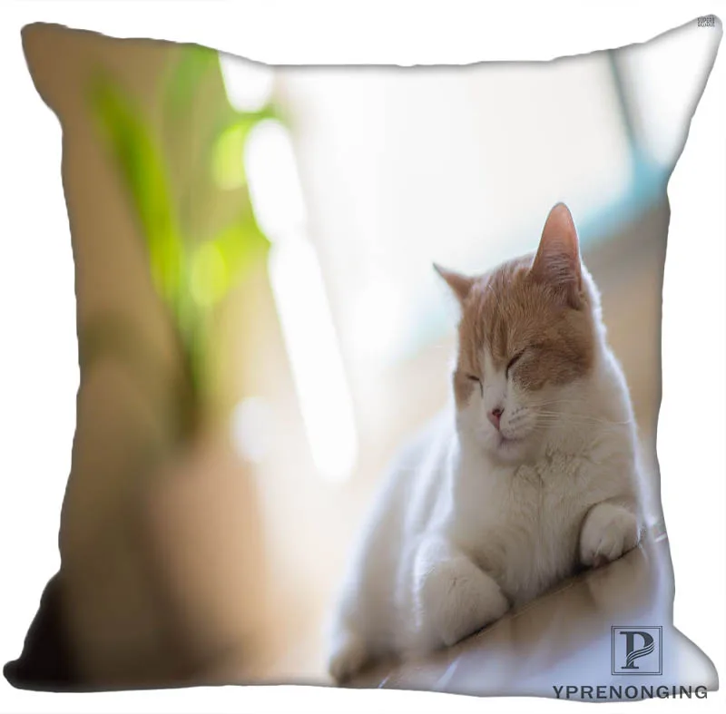 Square Pillowcase Изготовленный На Заказ спящий котенок квадратная подушка чехол на молнии Наволочка Чехол 35X35,40x40,45x45 см(с одной стороны) 180522-02-24 - Цвет: Square Pillowcase