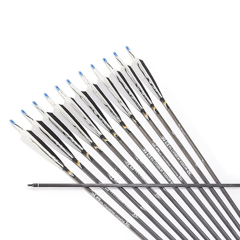 10Pcs 31" Archery Carbon Arrow Spine 500 Pure Carbon Arrows With Turkey Feather For Bow Outdoor Training Shooting Accessories