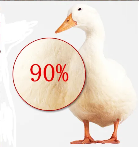 90 white duck down Осенне-зимняя мужская куртка, новинка, парные тонкие пальто, 90% утиный пух, ультра-легкие тонкие парки со стоячим воротником и хлопковой подкладкой - Цвет: 90 white duck down