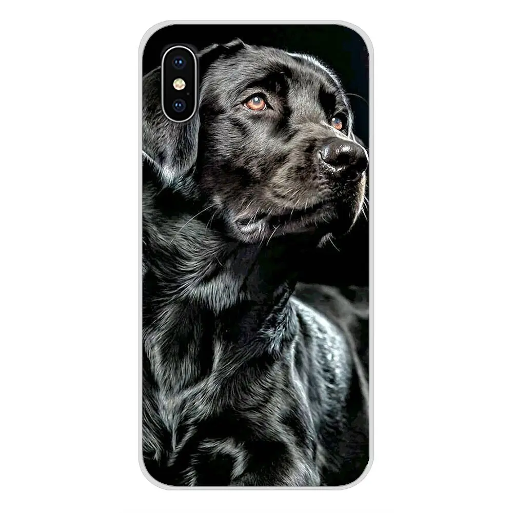 images 8 Лабрадор ретривер собака для samsung A10 A30 A40 A50 A60 A70 Galaxy S2 Note 2 3 Grand Core Prime аксессуары Чехлы для телефона - Цвет: images 8