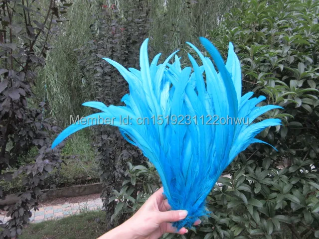 

100pcs 30-35cm /12-14inch blue natural loose rooster feather/cock feather/chicken feather for wedding decoration/cosplay