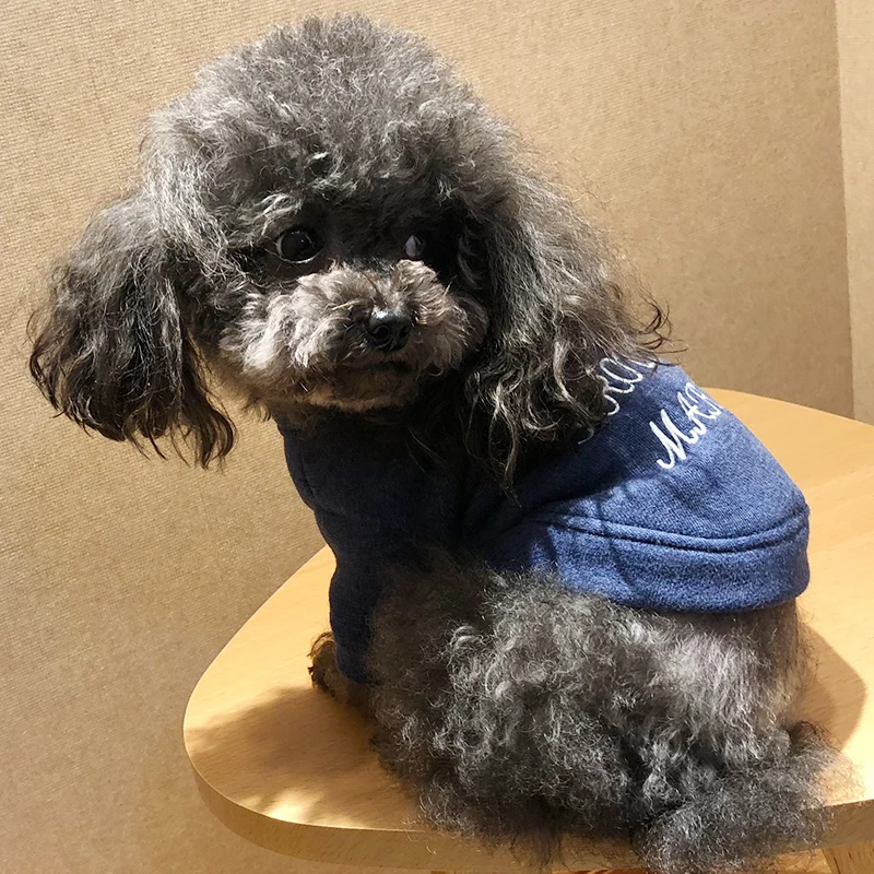 2018 Новое поступление petcircle Одежда для собак любимая одежда samll щенков весна-осень