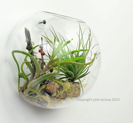 Набор из 3 Моды стены террариум пузыри стекло настенный DIY ваза мода