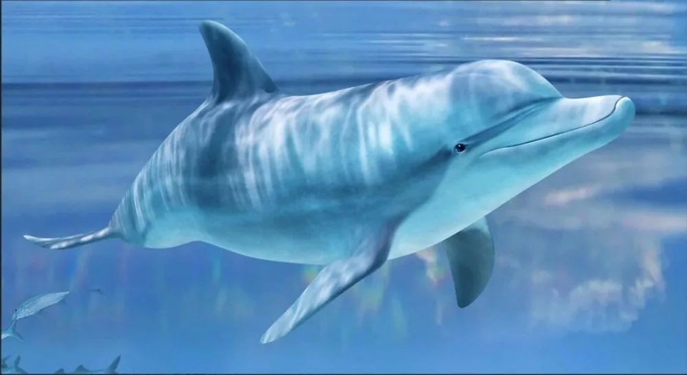 

Custom mural picture 3d room wallpaper Hd underwater world fish decoration painting 3d wall murals wallpaper for walls 3 d