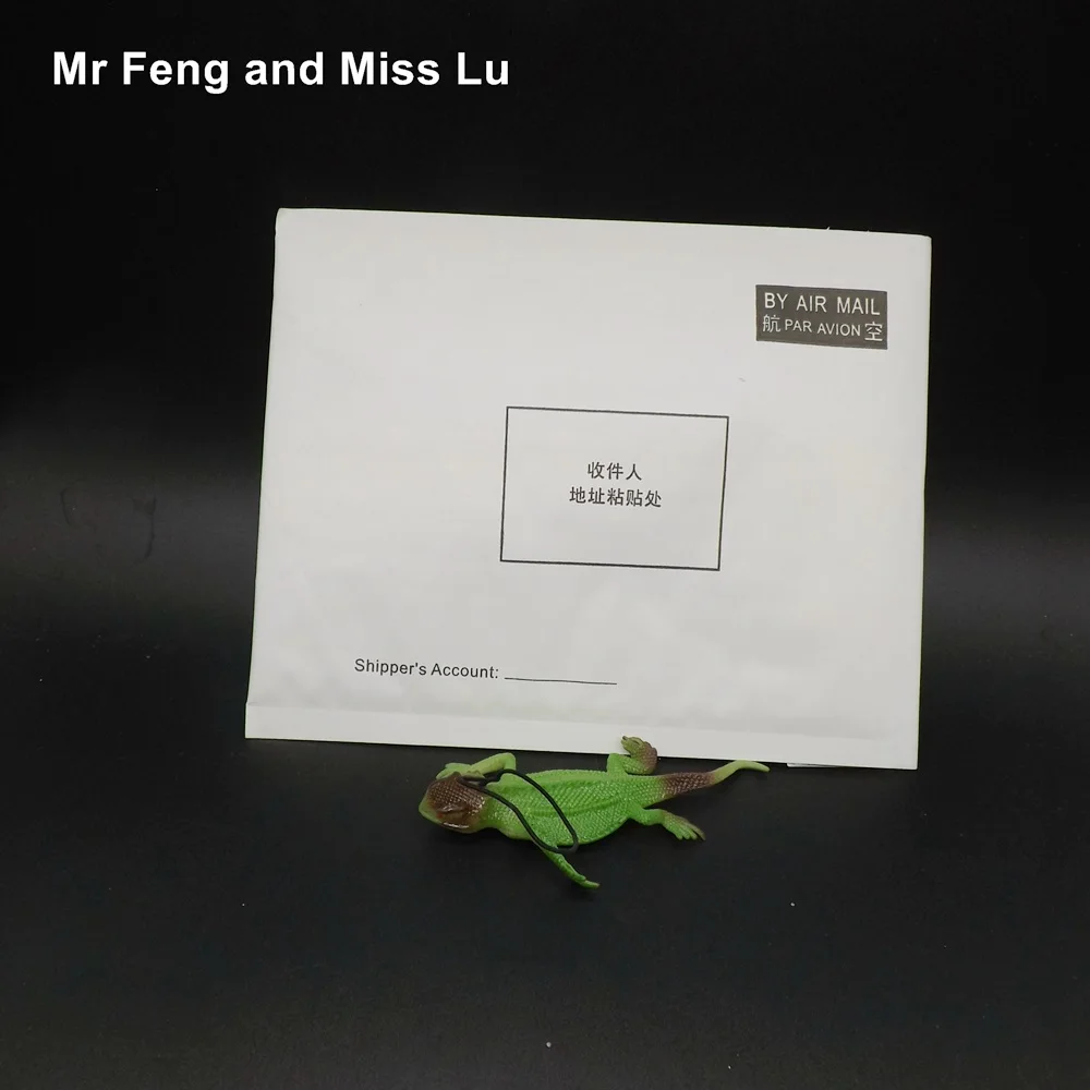 Модель Gecko образовательные фигурки в стиле хамелеон раннее обучение детей |