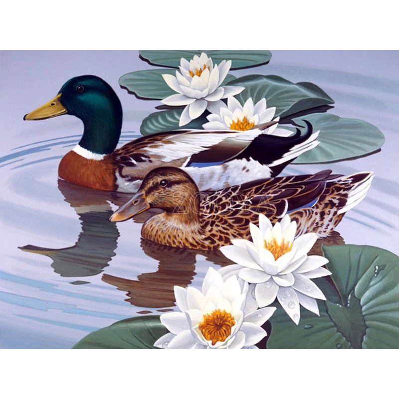 Full square/Round drill Diamond embroidery Mandarin Duck 5D DIY diamond Painting Cross Stitch Rhinestone Mosaic home decor gifts