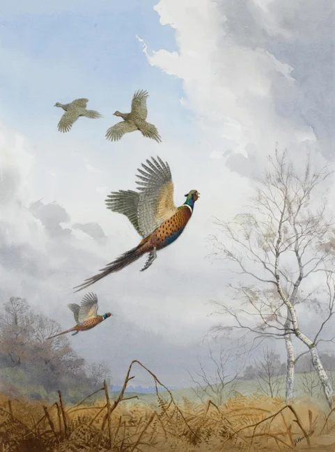 Акварельная пасторальная Красочная картина с птицами и деревьями маслом печать