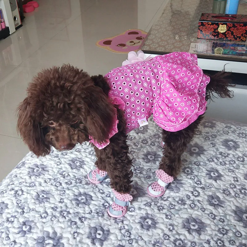 2019 Summer Small Dog Dress Comfortable Thin Pet Cat Puppy Floral Princess Chihuahua Clothes Cotton Skirt XS S M L XL | Дом и сад