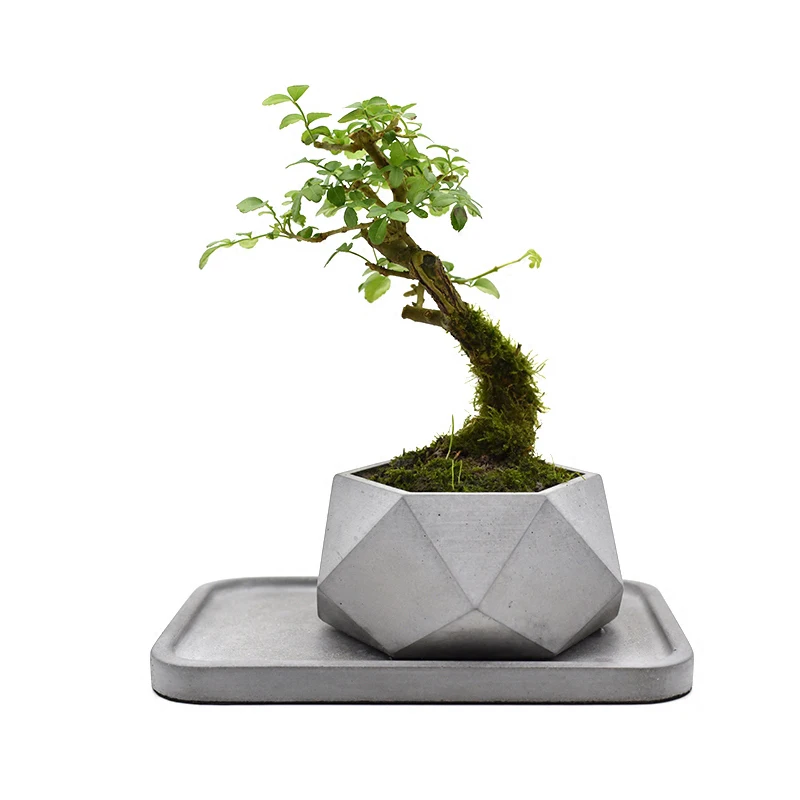 Бетонные формы для горшков глиняные силиконовые ваз DIY ремесленные цветочный