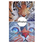 2 шт., набор для алмазной вышивки Кот