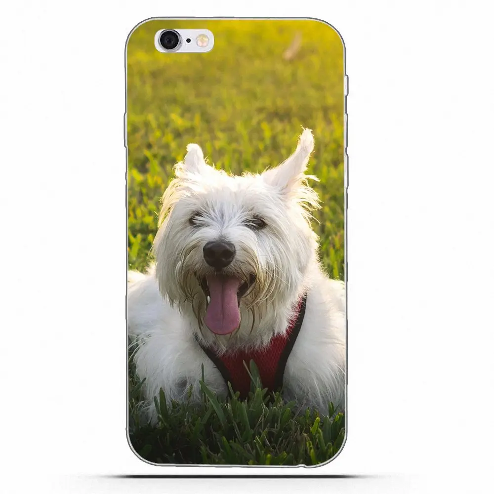 Мягкие ТПУ чехлы для телефонов Wexoeq West Highland Terrier Dog щенок LG G2 G3 mini spirit G4 G5 G6 K4 K7 K8 K10 2017