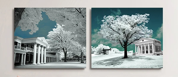 Donglang печати холст картины фотографии Wall art Пейзаж цветок дерево home decor Фотографии