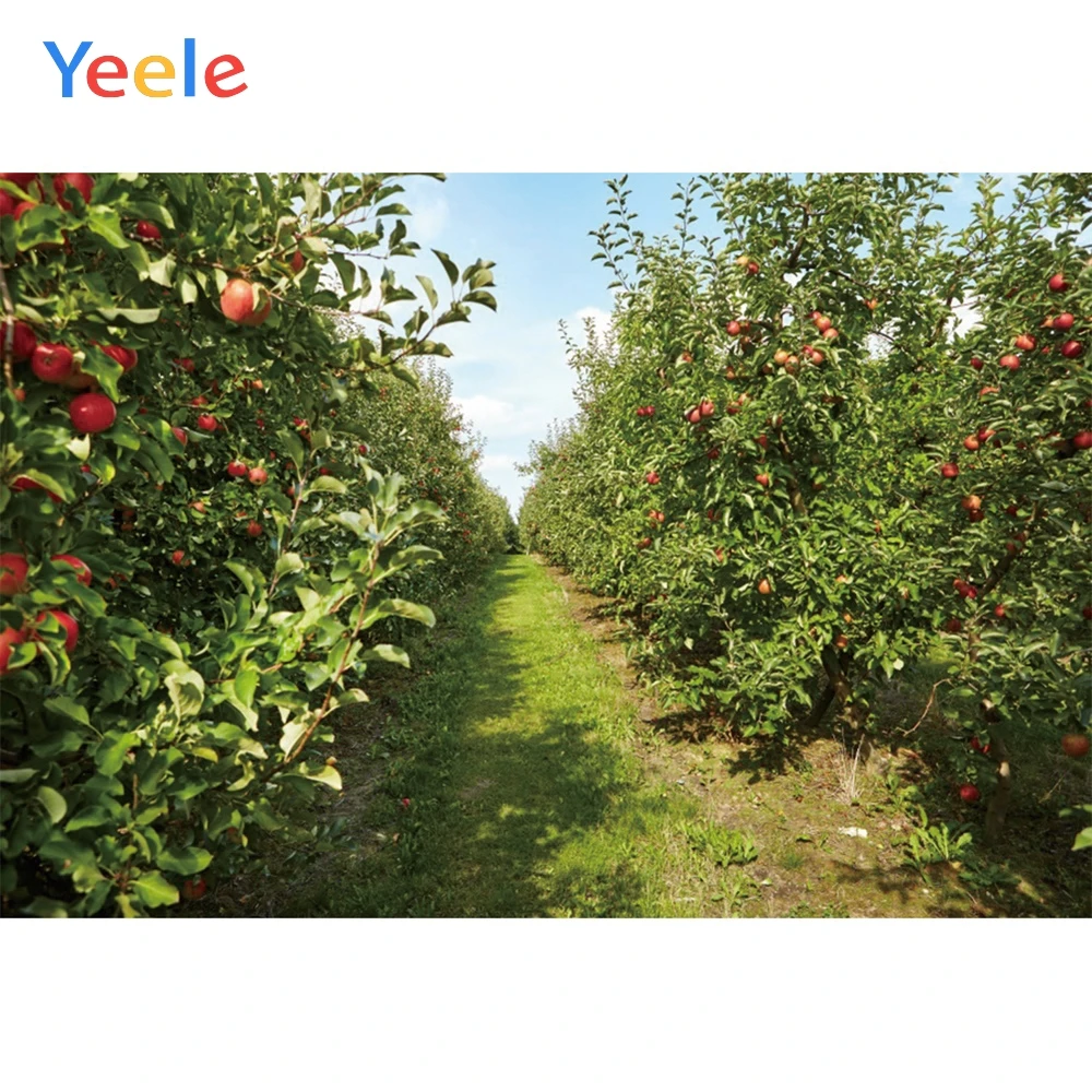 Фон для фотосъемки Yeele с изображением сада фруктов сильной жизнерадостной милой