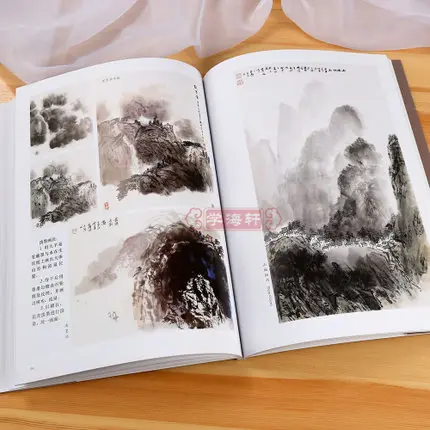 2 книги/набор обучения китайской живописи пейзаж живопись кисти работы книги для