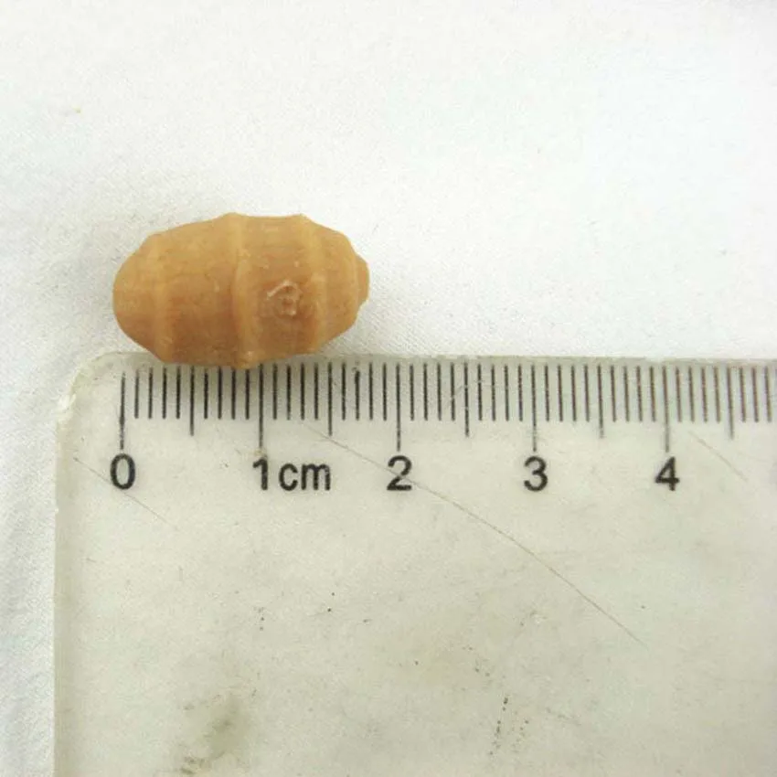 Поделиться с рыбой 50 шт./пакет мягкая поддельная плавающая Тигровая наживка