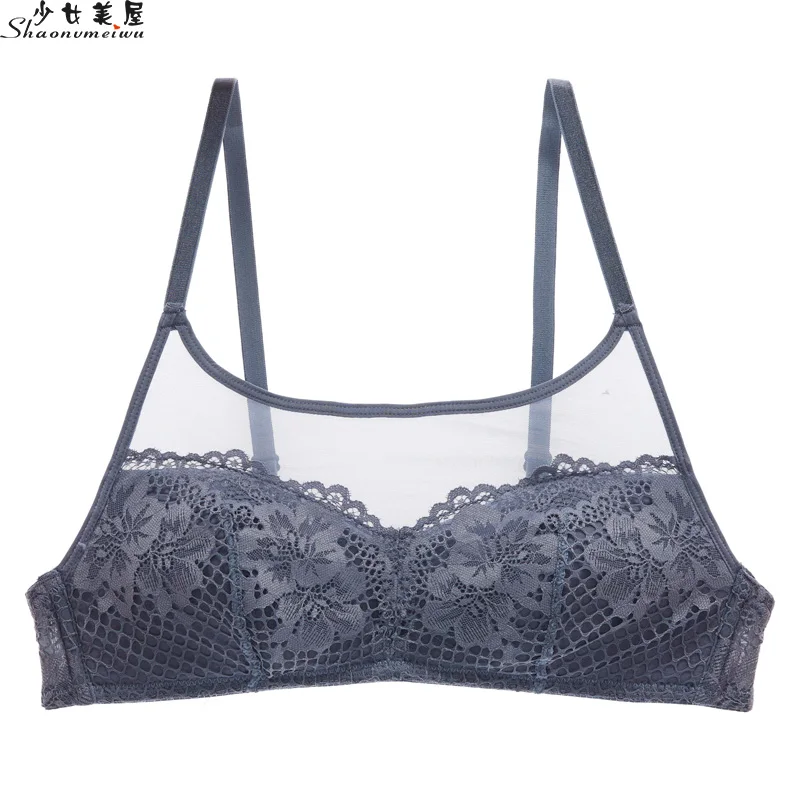 shaonvmeiwu Thin lace mesh bra sexy lingerie without a steel ring to wipe the chest type bra anti-shine