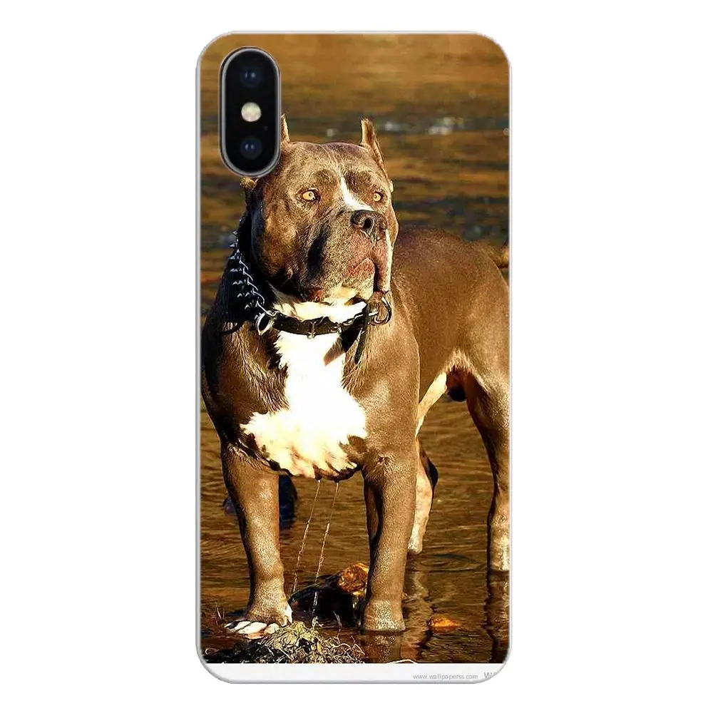 Для iPod Touch iPhone 4 4S 5 5S 5C SE 6 6S 7 8 X XR XS Plus MAX TPU Чехлы пастельный щенок питбуль-терьера