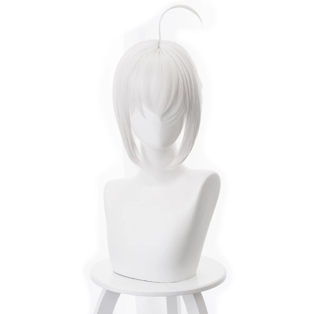 

Fate Grand Order Cosplay Reines Wig 30cm Short Straight Hair Cosplay Wigs
