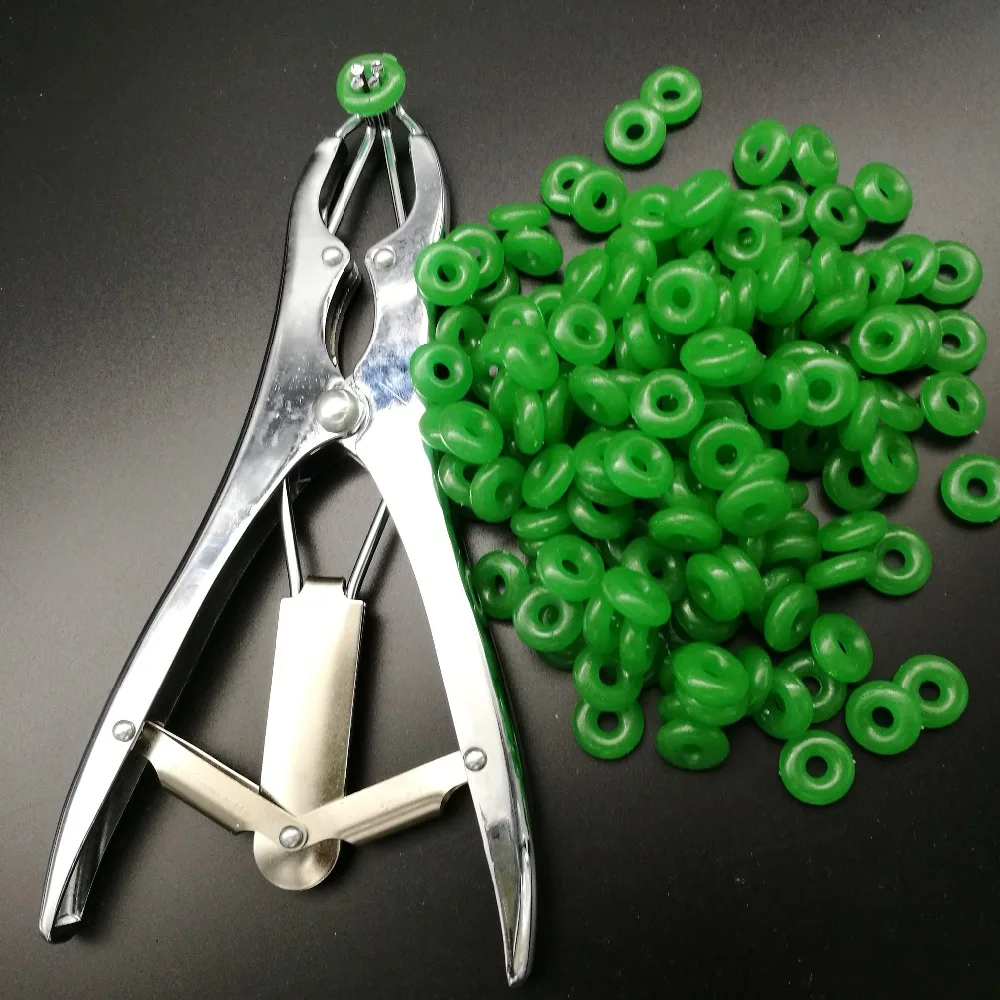 

Ветеринарное оборудование, плоскогубцы для кастрации свиней и овец, устройство с резиновым кольцом