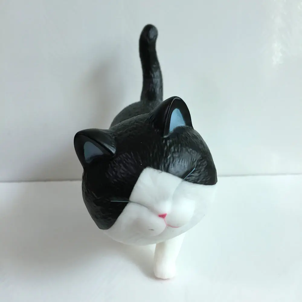 В виде симпатичных животных черный белый цвет с толстым котом изображениями