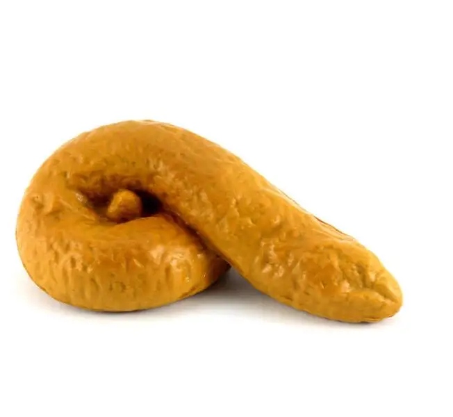 Забавные мужские и женские шалости с навозом|funny prank| |