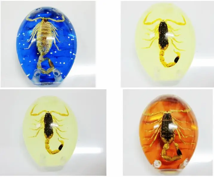 9 шт. настоящий коричневый Скорпион из смолы Жук мужской Рождественский подарок