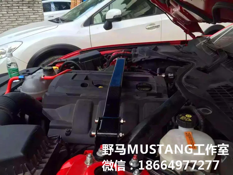 Подходит для FORD MUSTANG 2015 2017 GT/5 0 углеродное волокно балансирующая штанга