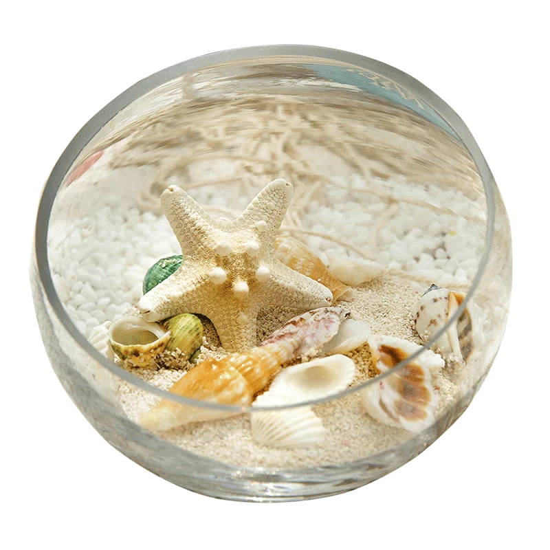 2021 раковины Коралловый аквариум с песком садок для рыбы Декорации ландшафтного