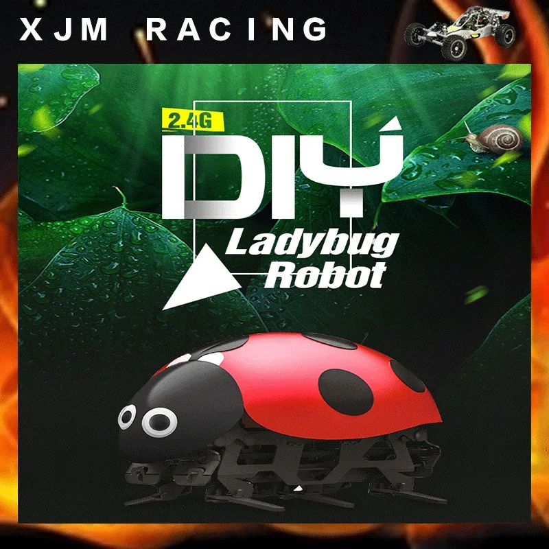 2 4G DIY Божья коровка робот RC игрушка-жук | Игрушки и хобби