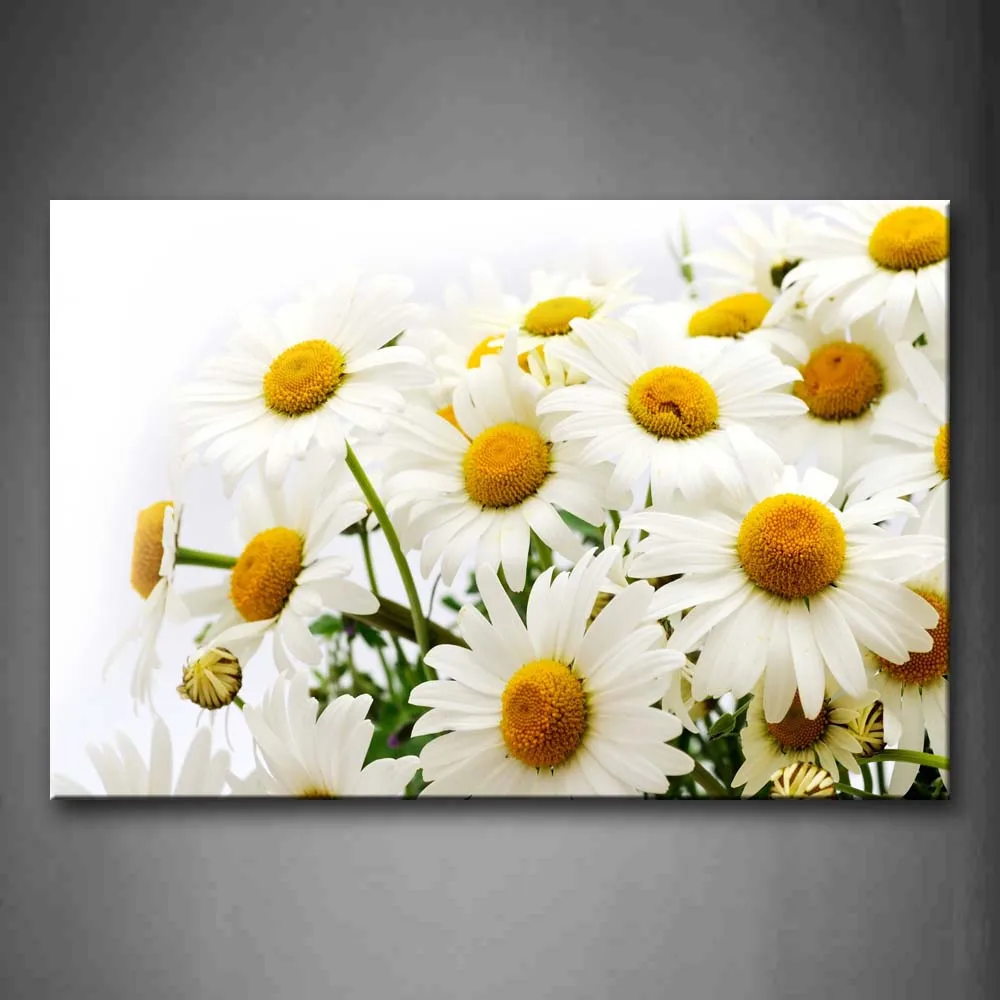 Framed Wall Art Pictures Daisies Petals Hearts Canvas Print Flower Posters With Wooden Frames For Home Living Room Decor | Дом и сад