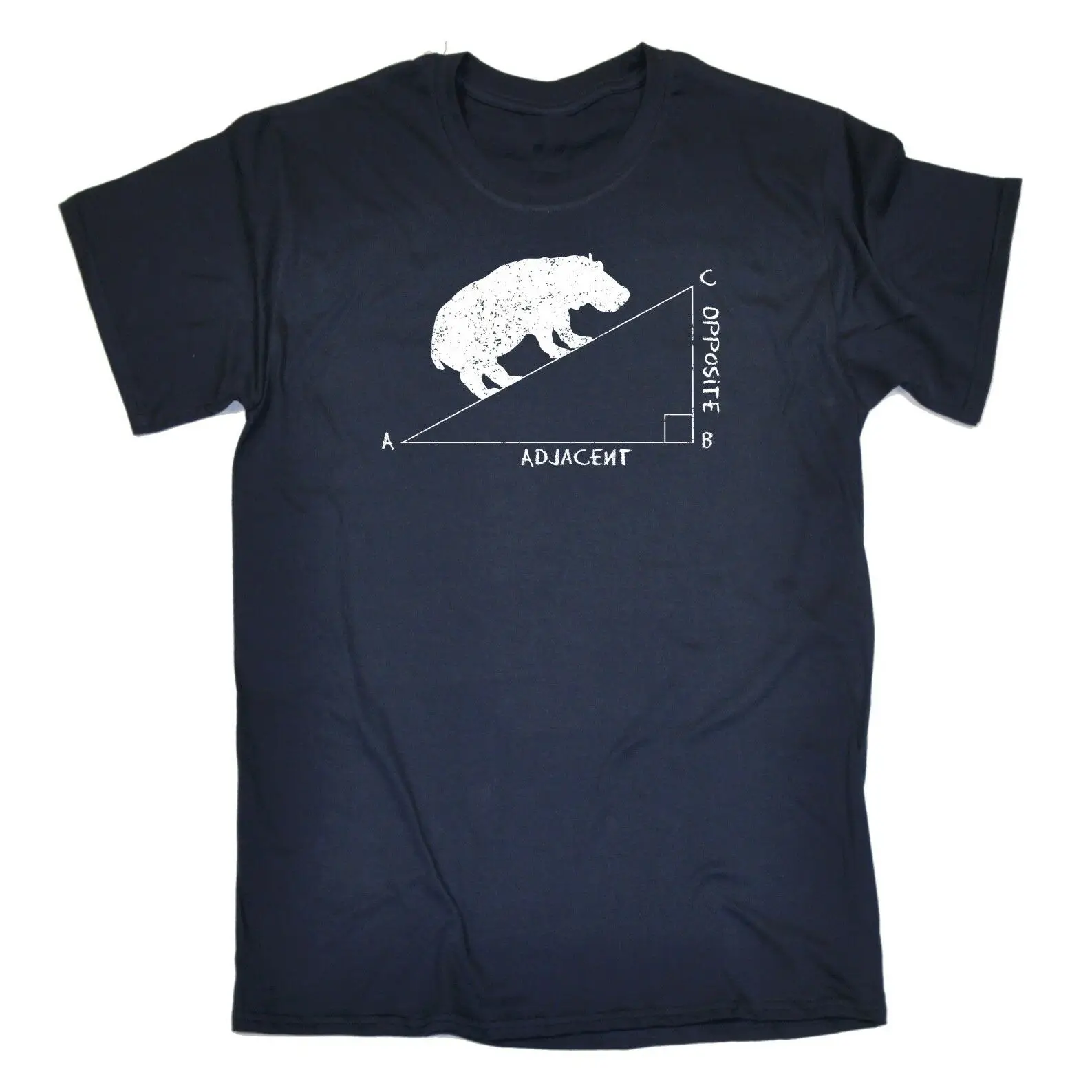 2019 забавный мужской Бегемот угол смешная шутка Математика Geek Nerd Science футболка на