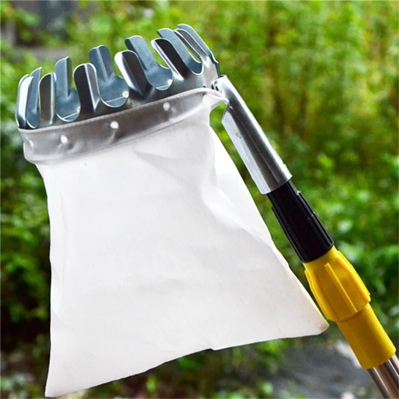 

Fruit Picker Convenient Horticultural Fruit Picker Extract Pulldownandbrea Gardening Apple Peach Picking Easy To UseTools