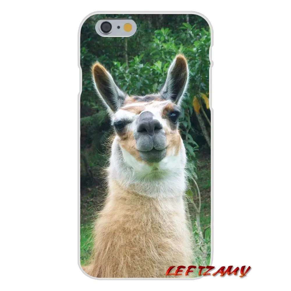 Милый мем с козлом Альпака для iPhone X XR XS MAX 4 4S 5 5S 5C SE 6 6S 7 8 Plus ipod touch Аксессуары чехлы
