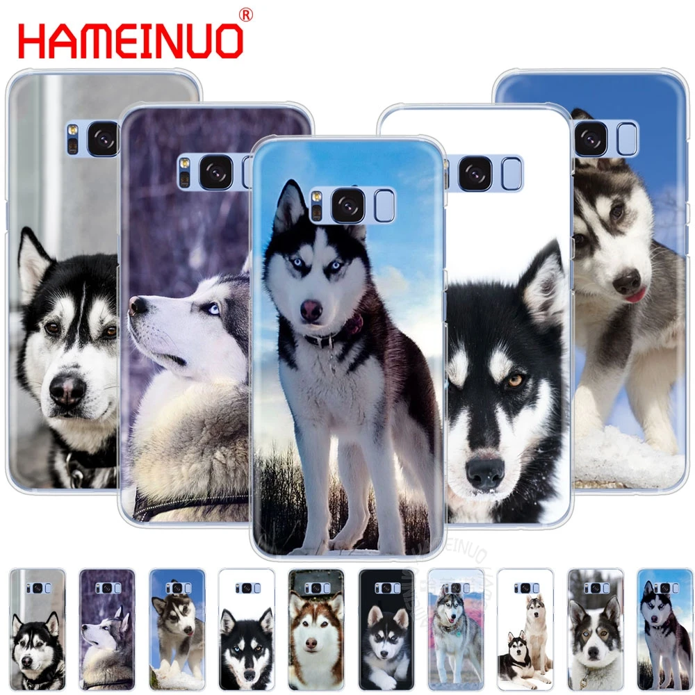 HAMEINUO husky чехол для сотового телефона с щенком Samsung Galaxy S9 S7 edge PLUS S8 S6 S5 S4 S3 MINI|Бамперы|