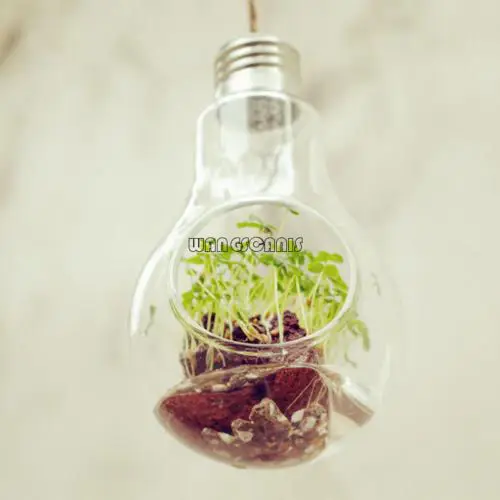 Bulb Стеклянный подвесной прозрачный растительный Террариум ваза для цветов рыбный горшок настенный шар контейнер микро пейзаж DIY свадебный домашний декор - Цвет: Bulb