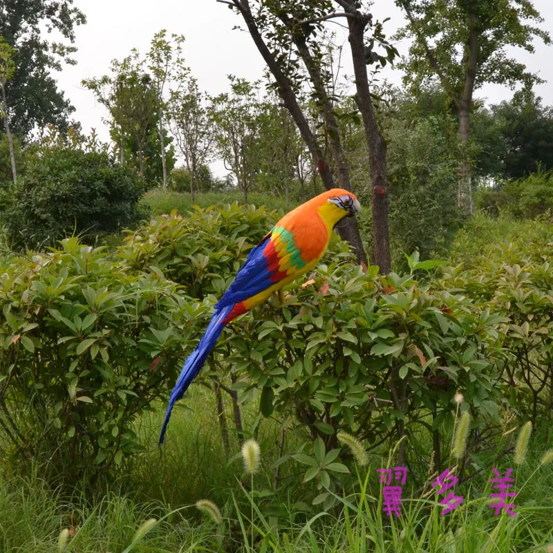 Красочные перья ара попугай большой 60 см игрушечный модель украшение для дома