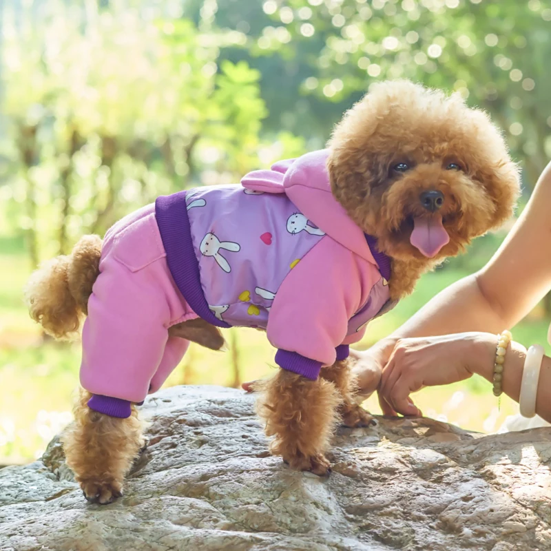 DOGGYSTYLE зимняя одежда для собак, теплое пальто для щенков, стеганая куртка с капюшоном, Комбинезоны для маленьких собак, чихуахуа, костюмы Тедди