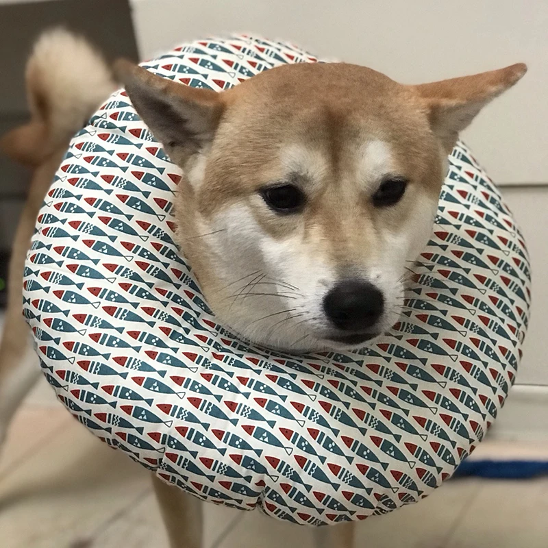 Защитный ошейник для домашних животных конусный собачьего шеи лечения и