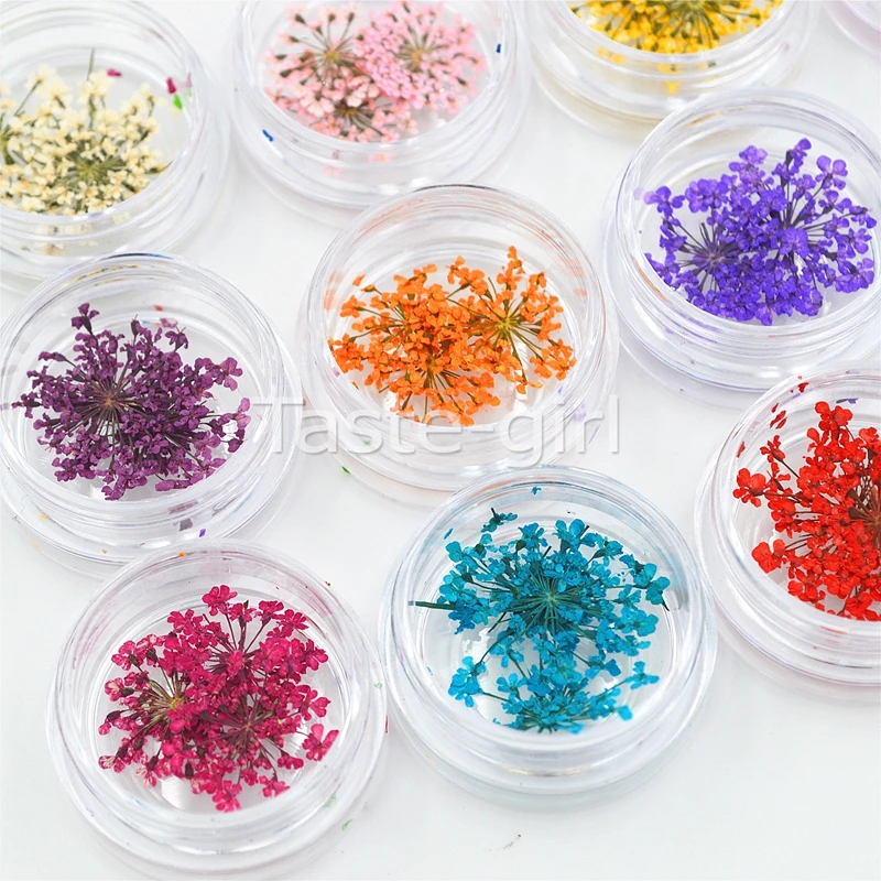 12 цветов натуральный сушеный цветок для УФ-геля ногтей |