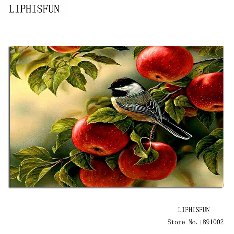 

Birds Fruit Needlework Diamond Embroidery Painting Home Decoration Diamond Pattern Full Square Diamond Painting