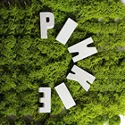 Форма для бетона, силиконовая форма с надписью Капитал