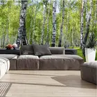 3D-обои с изображением природного ландшафта беререзовых деревьев, леса, фотообои для гостиной, спальни, индивидуальный Декор для дома и офиса, Настенные обои