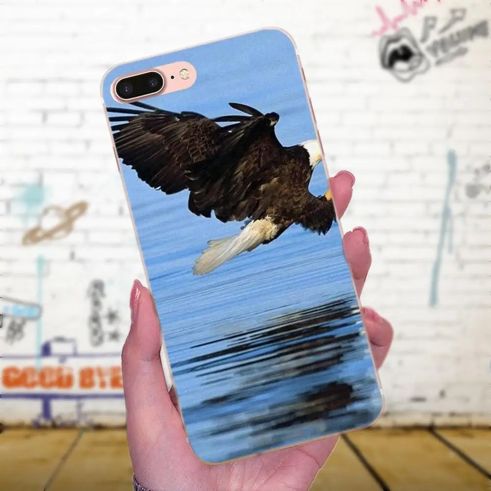 Мягкий чехол из ТПУ Eagles Flying Dominant для Apple iPhone X XS Max XR 4 4S 5 5C 5S SE 6 6S 7 8 Plus | Мобильные