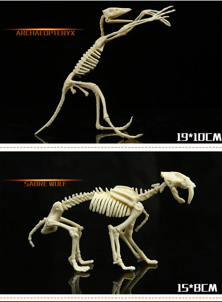 Trolltech Archaeological Creative DIY Archaeological Excavation Toy Assembled Version Reproduces Dinosaur Fossil Model Toys