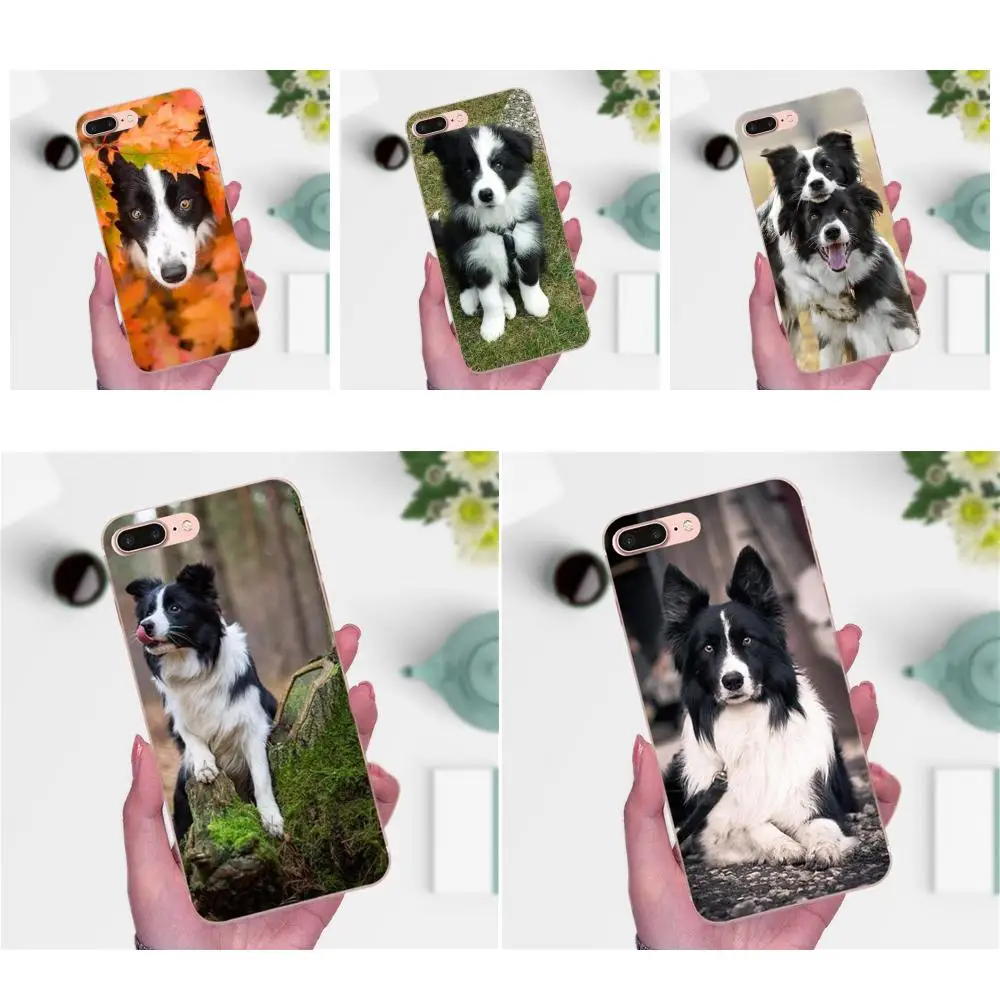 Border Collie Dog Breed для Huawei P7 Honor 4C 5A 5C 5X 6 6C 6A 6X 7 7X 8 9 V8 V10 Y3II Y5II Y6II G8 Play Lite мягкие сумки