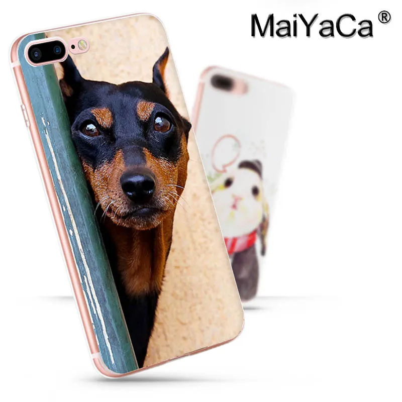 MaiYaCa такса Doberman собака Топ детальный популярный чехол для телефона iPhone 8 7 6 6S Plus X 10